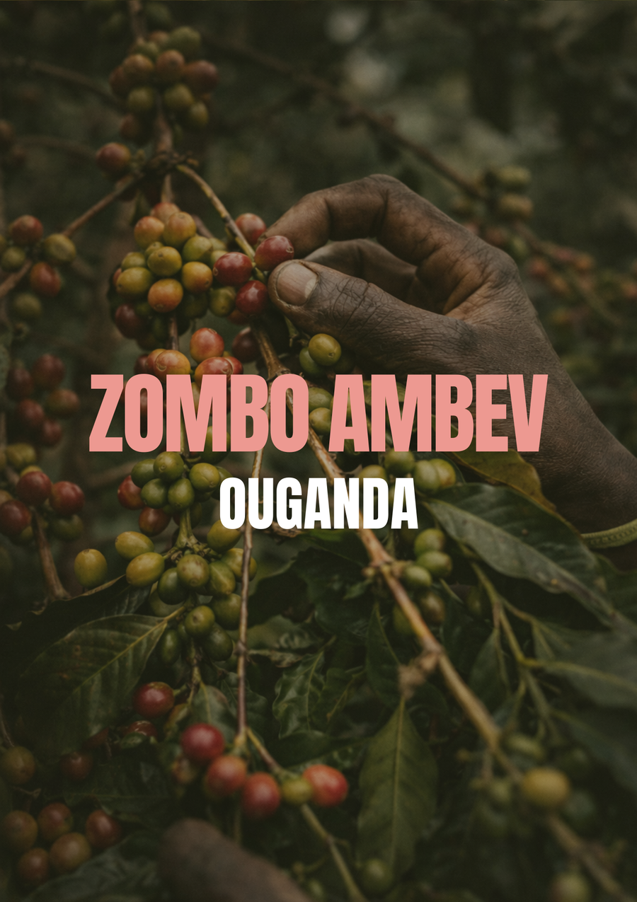 Zombo Ambev