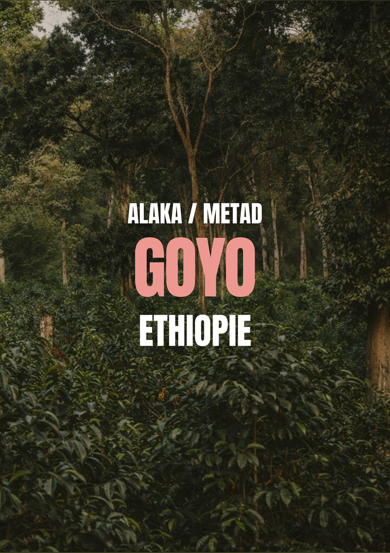 Goyo