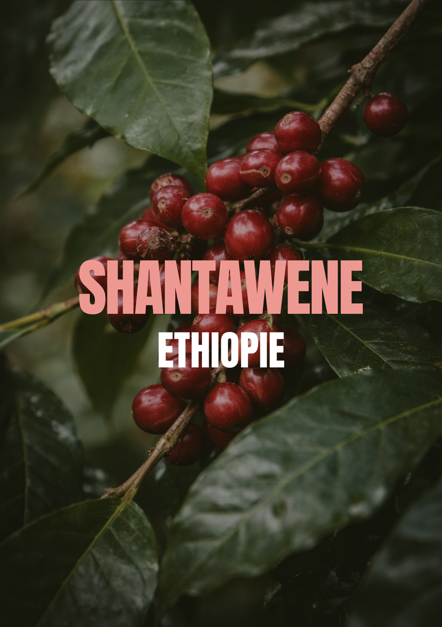 Shantawene