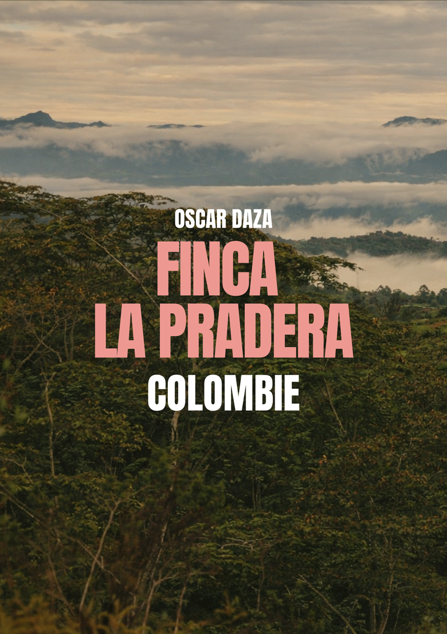 La Pradera